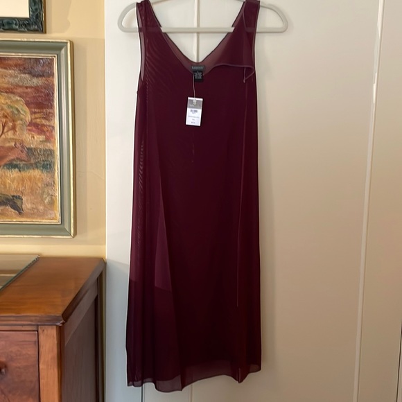 babystyle Dresses & Skirts - NWT mesh tank dress